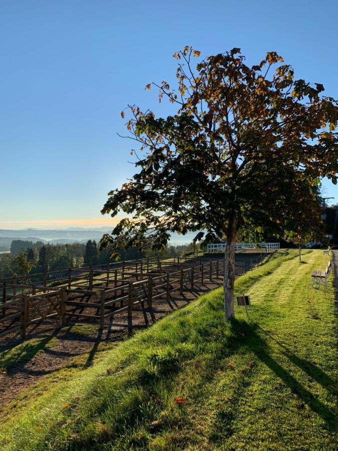 Gut Buchenhof Lägenhet Buchenberg  Exteriör bild