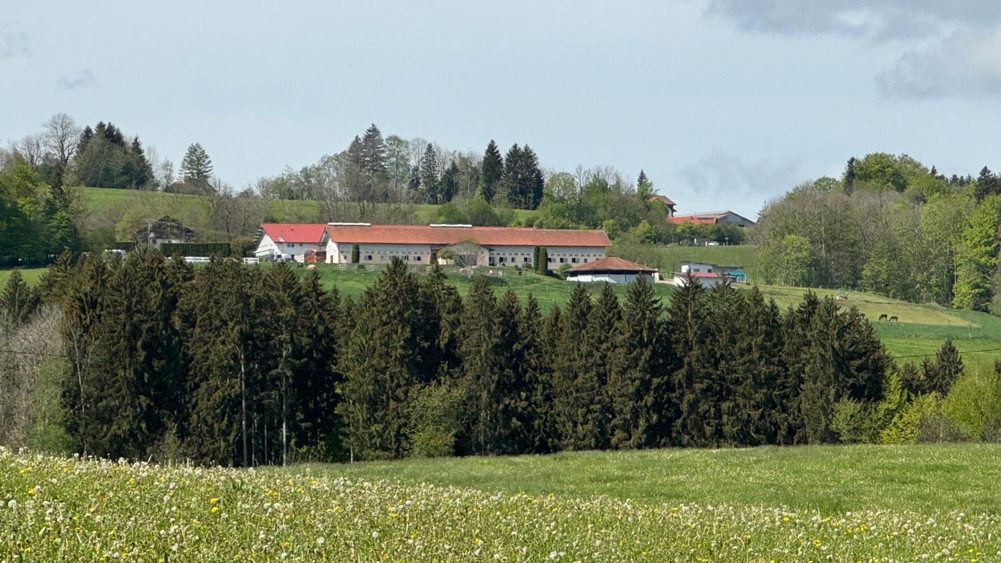 Gut Buchenhof Lägenhet Buchenberg  Exteriör bild