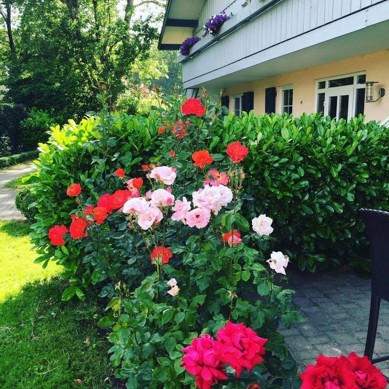 Gut Buchenhof Lägenhet Buchenberg  Exteriör bild